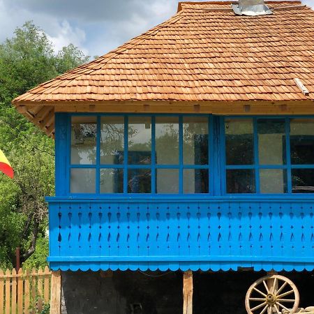Casa Albastra Villa Băile Olăneşti Dış mekan fotoğraf