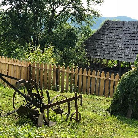 Casa Albastra Villa Băile Olăneşti Dış mekan fotoğraf