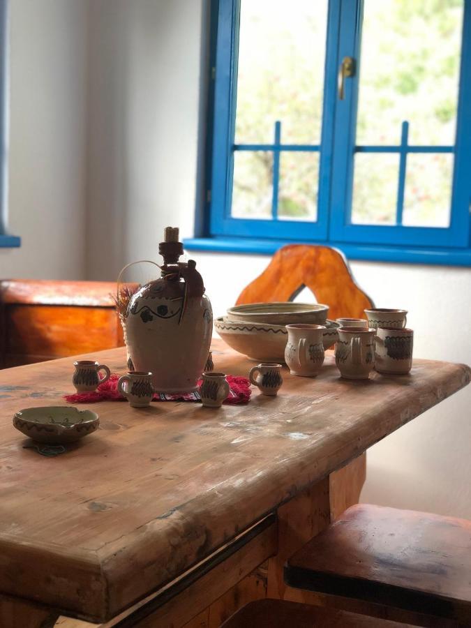 Casa Albastra Villa Băile Olăneşti Dış mekan fotoğraf