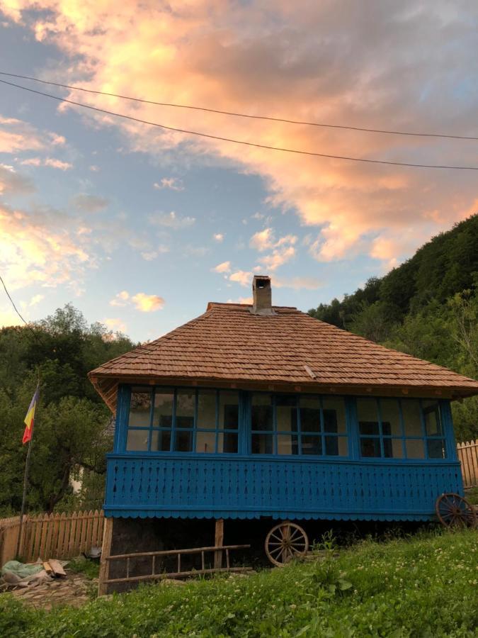 Casa Albastra Villa Băile Olăneşti Dış mekan fotoğraf