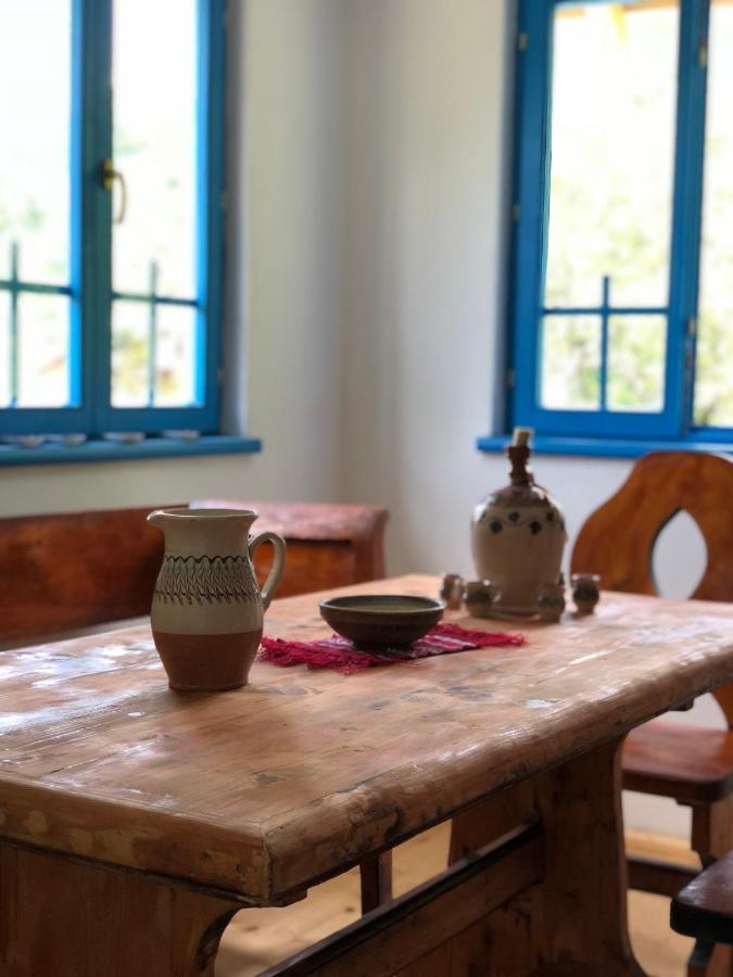 Casa Albastra Villa Băile Olăneşti Dış mekan fotoğraf