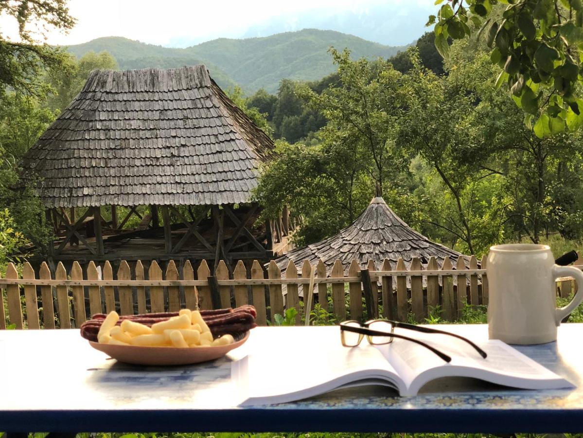 Casa Albastra Villa Băile Olăneşti Dış mekan fotoğraf