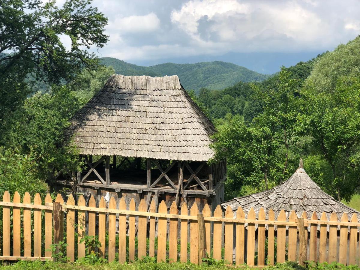 Casa Albastra Villa Băile Olăneşti Dış mekan fotoğraf