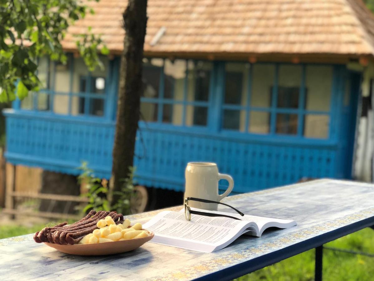 Casa Albastra Villa Băile Olăneşti Dış mekan fotoğraf
