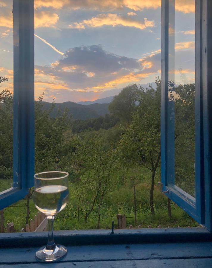Casa Albastra Villa Băile Olăneşti Dış mekan fotoğraf