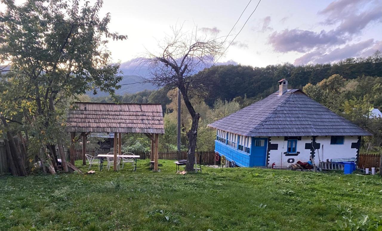 Casa Albastra Villa Băile Olăneşti Dış mekan fotoğraf